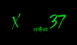 Xperience37-LOGO-nature_640x373